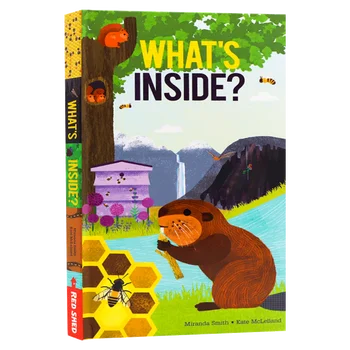 Что внутри, Детские книжки 3 4 5 6 лет, Английская книжка с картинками, 9781405288637